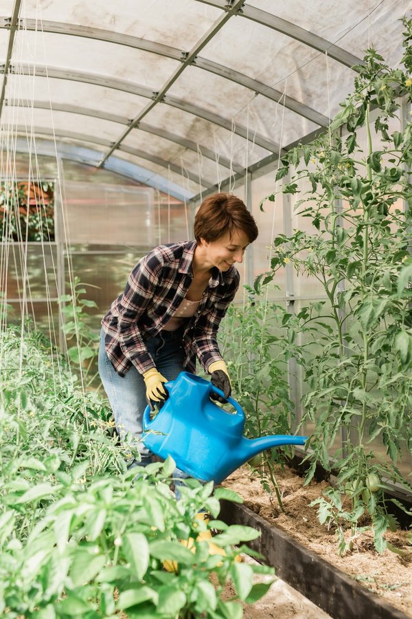 Pourquoi construire vos propres potagers urbains à Genève ?